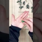 Wooden Seed Natural Pencil 569