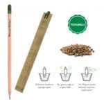 Wooden Seed Natural Pencil 569 - istecanta.com