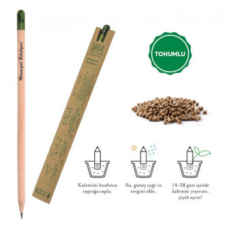 Wooden Seed Natural Pencil 569 - istecanta.com
